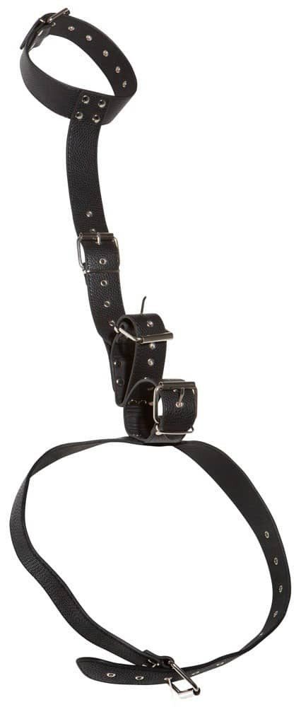 Bad Kitty Neck And Hand Restraints