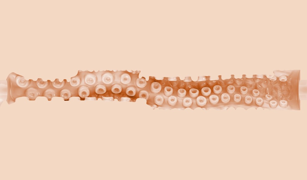 Fleshlight Sasha Nakamoto Ecchi