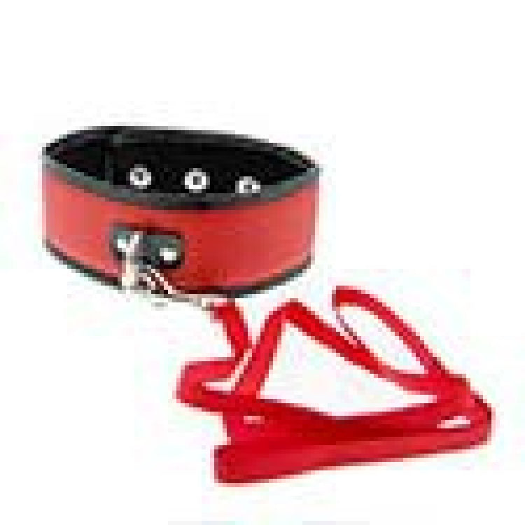 Nyakörv és póráz